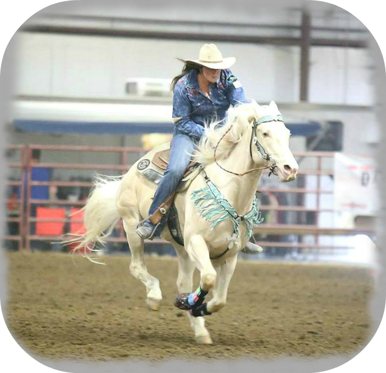 Lantern Lane Creations High Quality Custom Tack