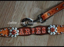 dog-collar-aries