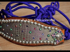 purple-rope-halter-bronc-band