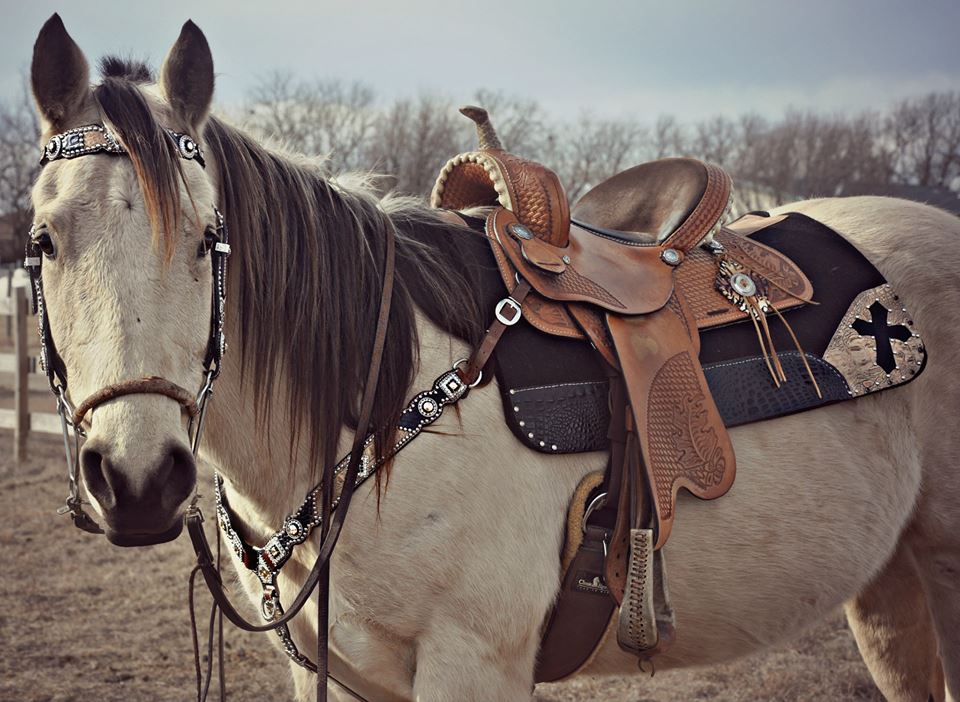 Upcycled fashion Luxury Western Tack Set