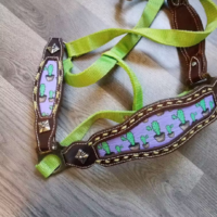 Lime Green halter with cactus print on noseband