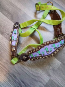 Lime Green halter with cactus print on noseband