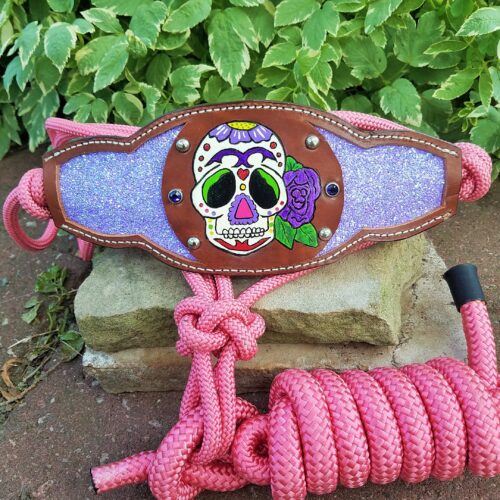 pink rope halter with sugar skull noseband